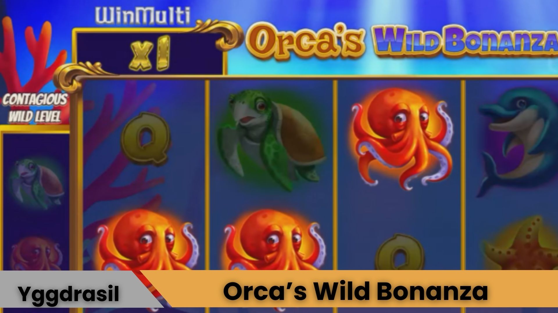 Orca’s Wild Bonanza ile Okyanus Coşkusunu Yaşa!