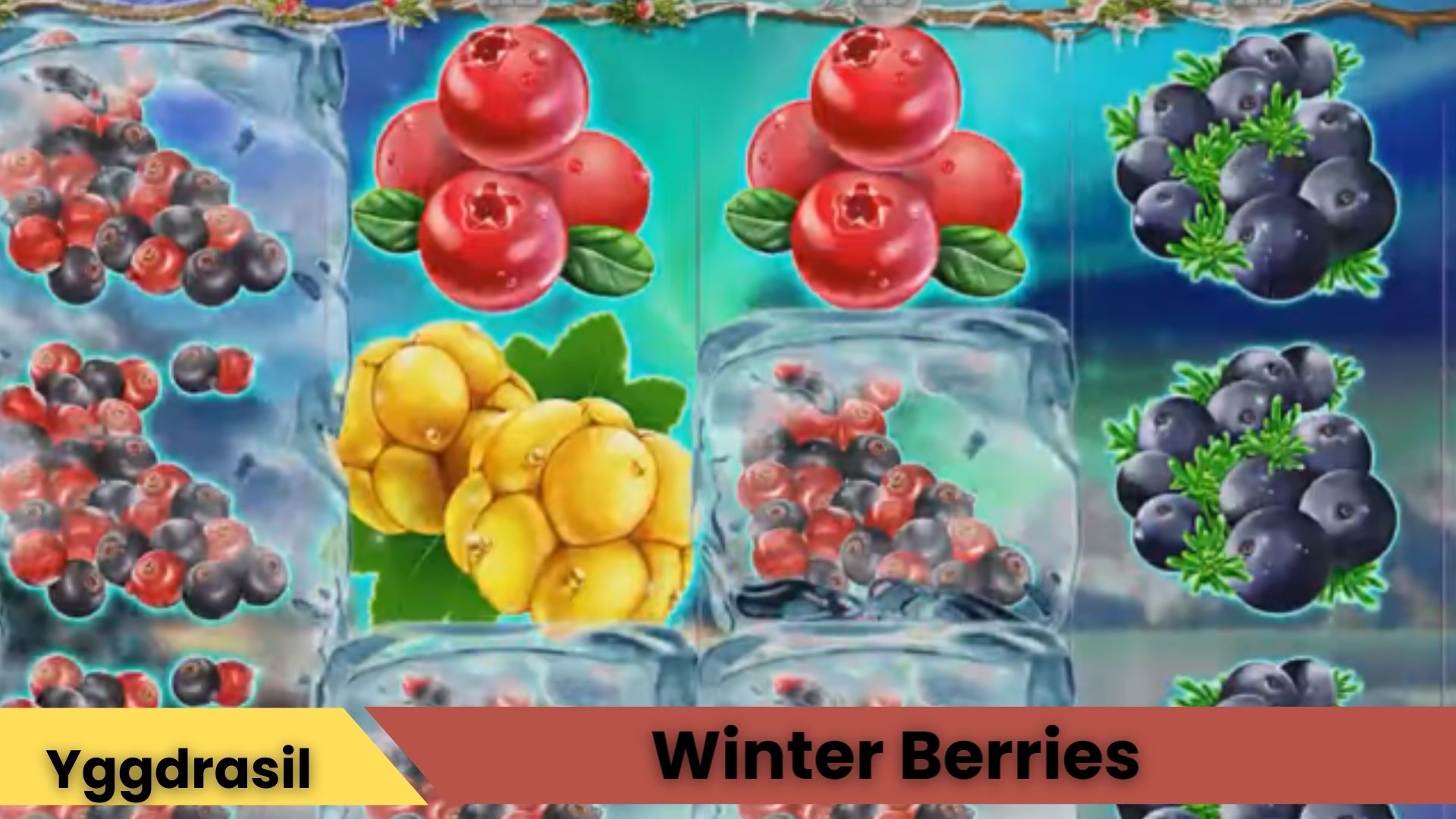 Winter Berries Oyna